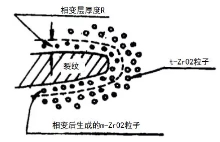 1488187150508835.jpg 3.jpg