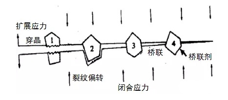 1488187188333247.jpg 5.jpg