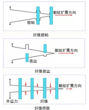 1488187231414585.jpg 7.jpg